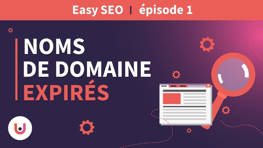 EASY SEO #1 : les noms de domaine expirés